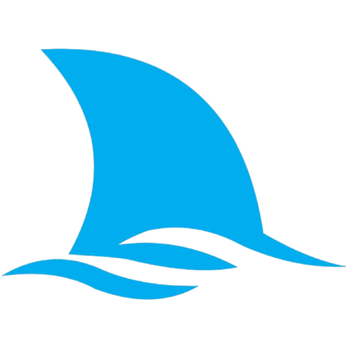 Chinelo Shark